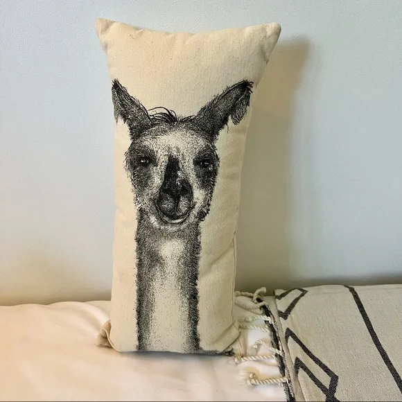 Maya pickles cheap dog pillows